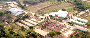 IFRO - Instituto Federal de Educação Ciência e Tecnologia de Rondônia Colorado do Oeste